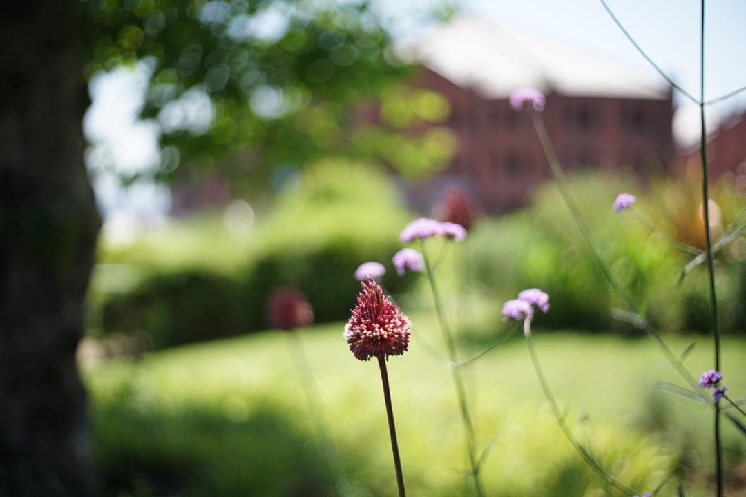 YASHICA ML 50mm 1.7　199 Yashica 50mm f1.7 ML - Lens – Kamerastore