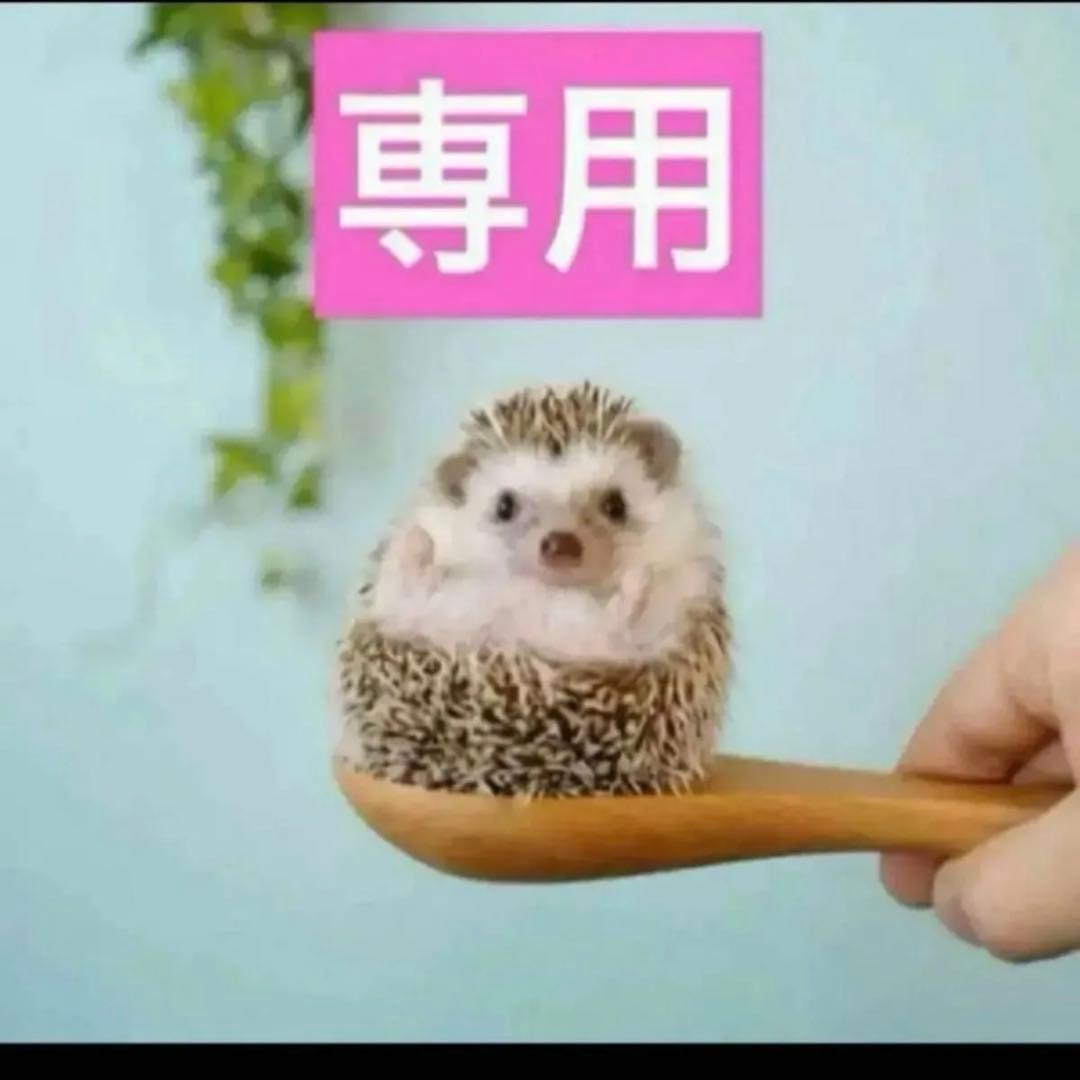 3点、リンクルセラムルミエール2点、エマルジョン1点 361_1_expand.jpg