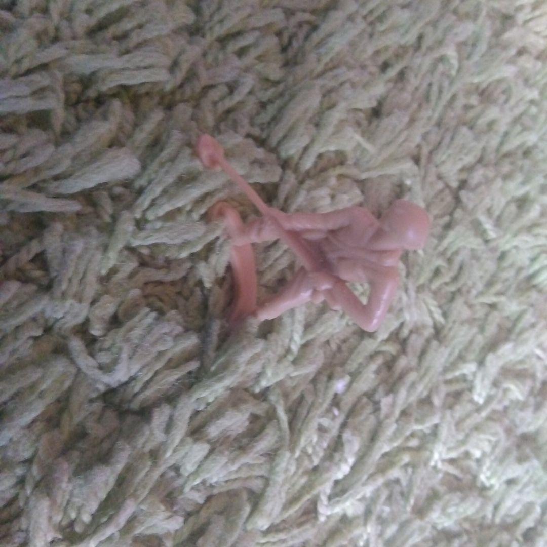 地雷探知の人 人の命を救う探知ネズミ「ロニン」、地雷発見の世界記録更新 - CNN.co.jp