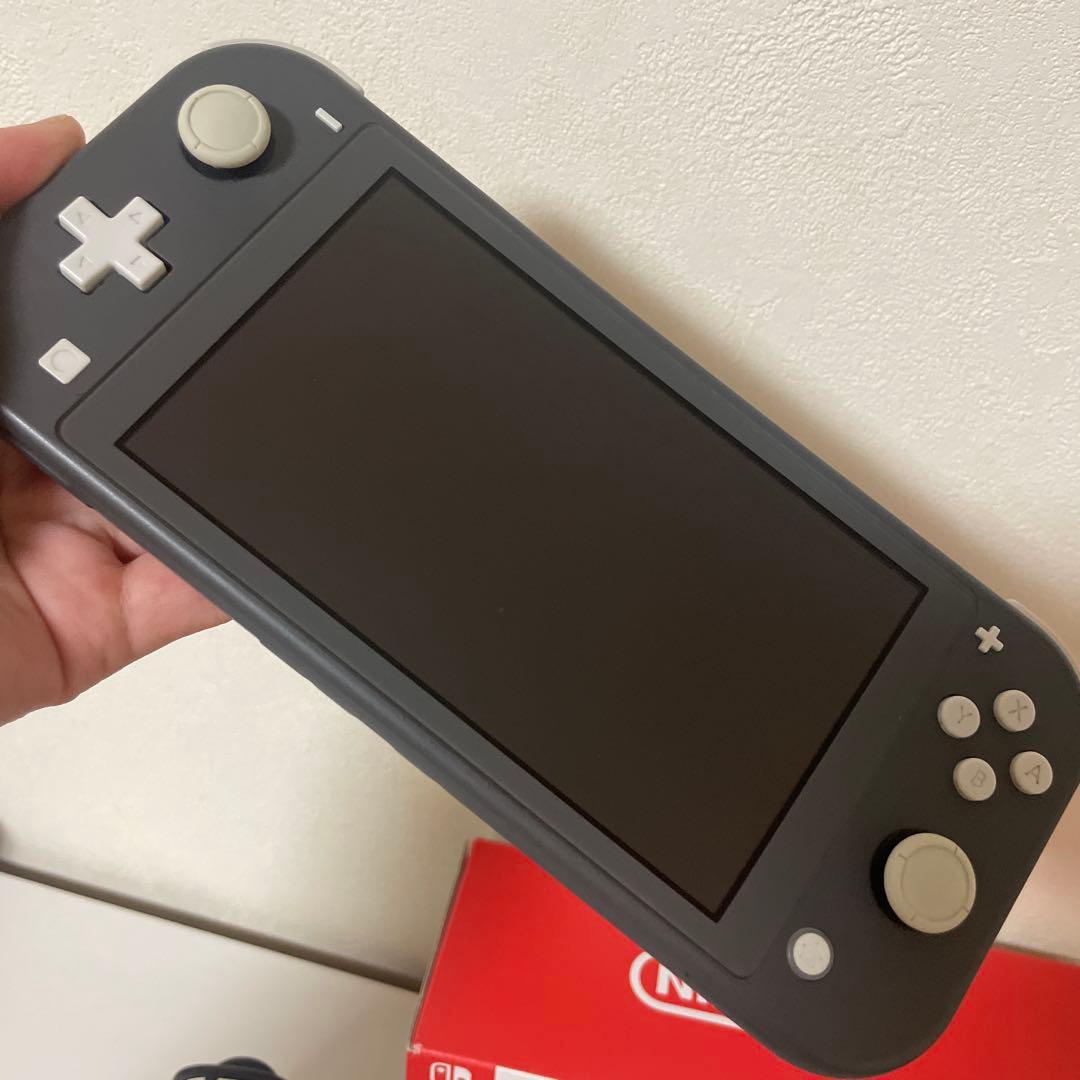 Nintendo Switch Lite グレー 本体 ジャンク品 - メルカリ