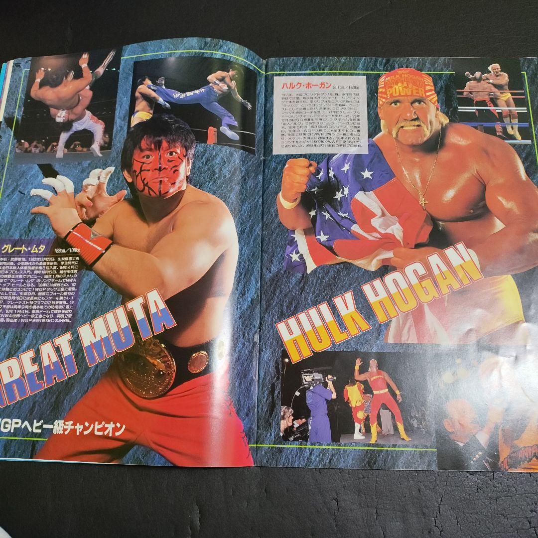 新日本プロレスパンフレット1993年5月3日福岡ドーム大会レスリング