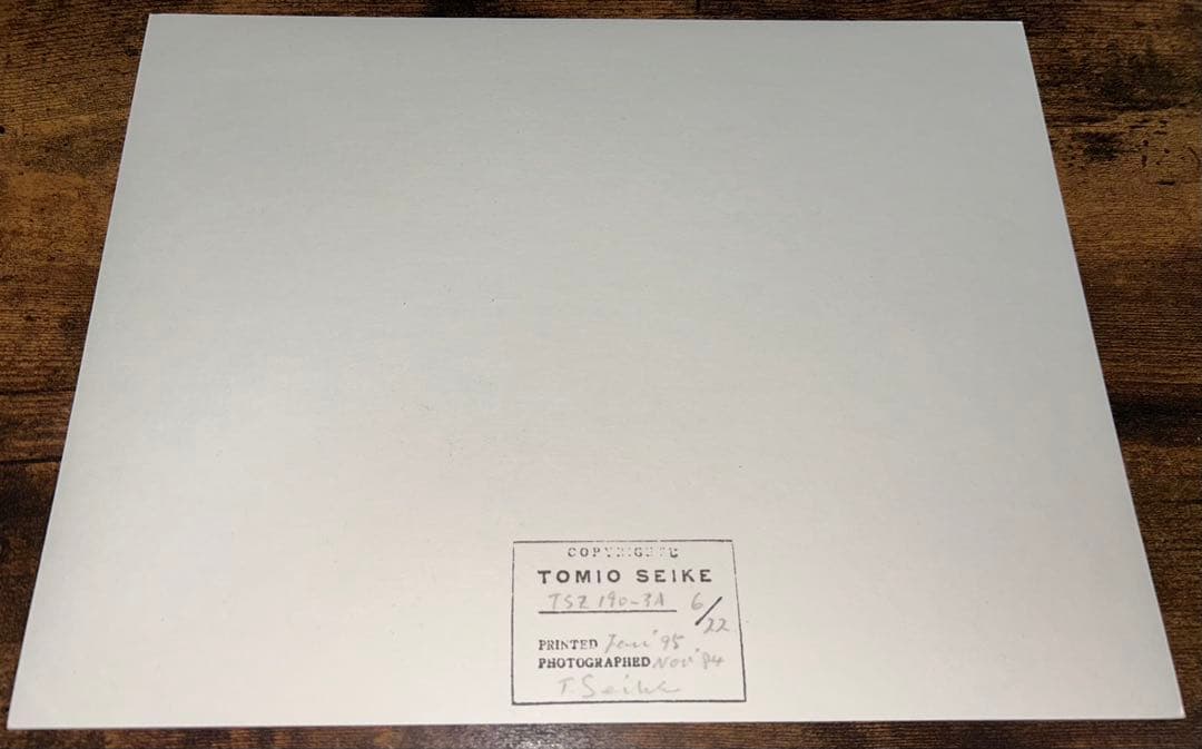 TOMIO SEIKE 清家富雄 オリジナルプリント 1995年