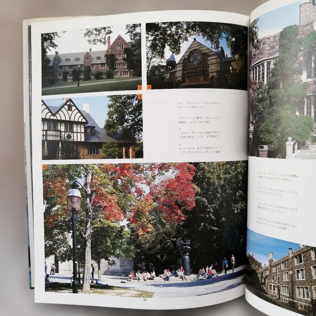 希少】The IVY TERUYOSHI HAYASHIDA サイン入り