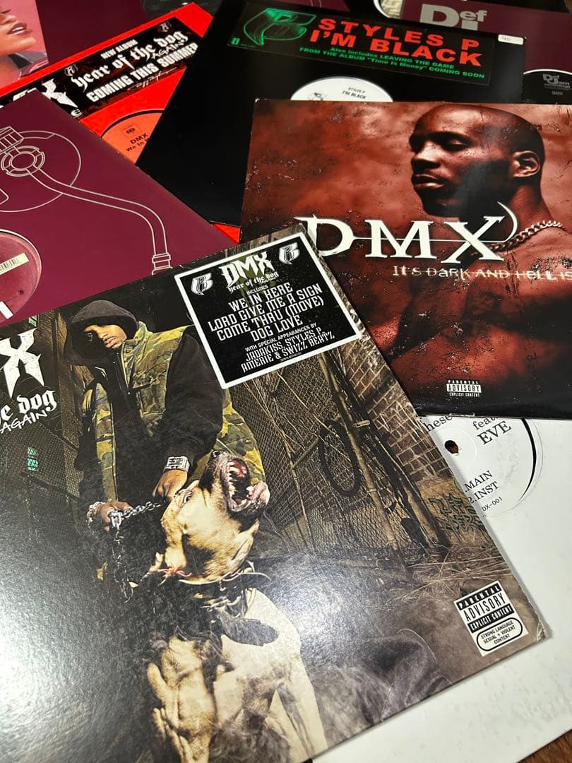 DMX レコード11枚セット　イヴ　ラフライダース DMX レコード11枚セット イヴ ラフライダース - メルカリ