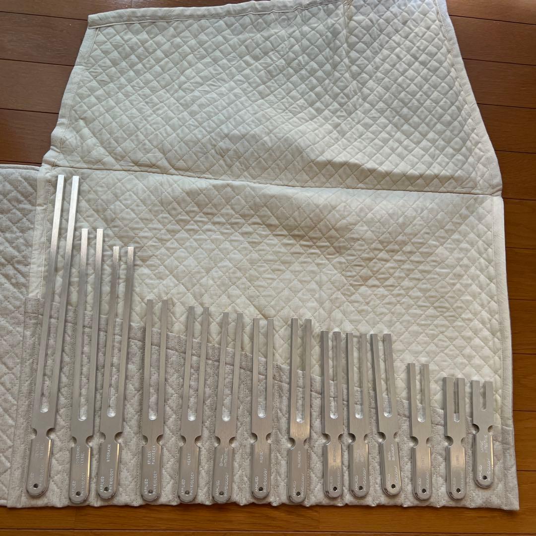 アプライドキネシオロジー　音叉 楽天市場】音叉 脳の通販