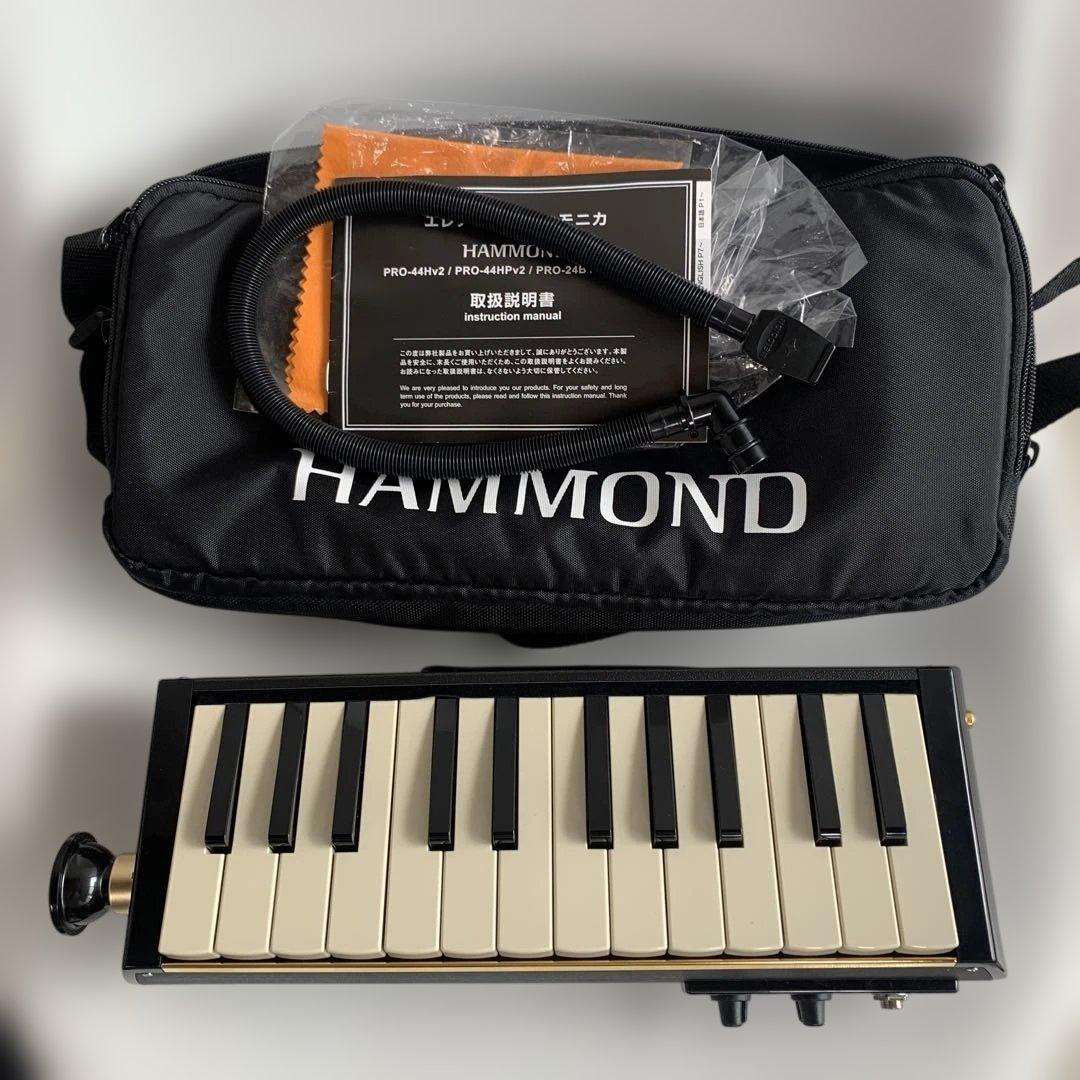 美品 hammond pro-24b 低音 エレキ 鍵盤ハーモニカ bass 250804-0015_03-RGB.jpg
