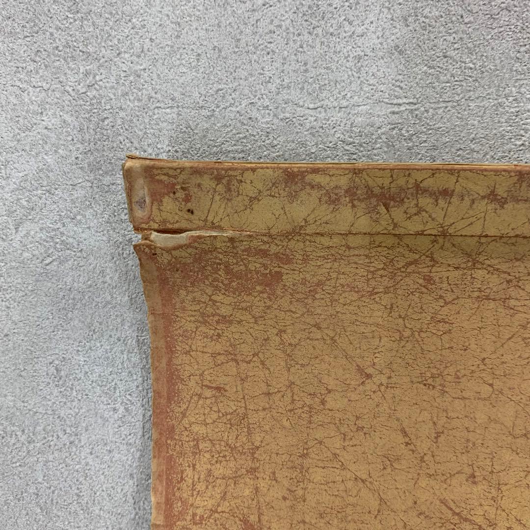 Koo様専用】掛軸 陶山勝寂 龍 出雲松江藩お抱え絵師 破れあり - メルカリ