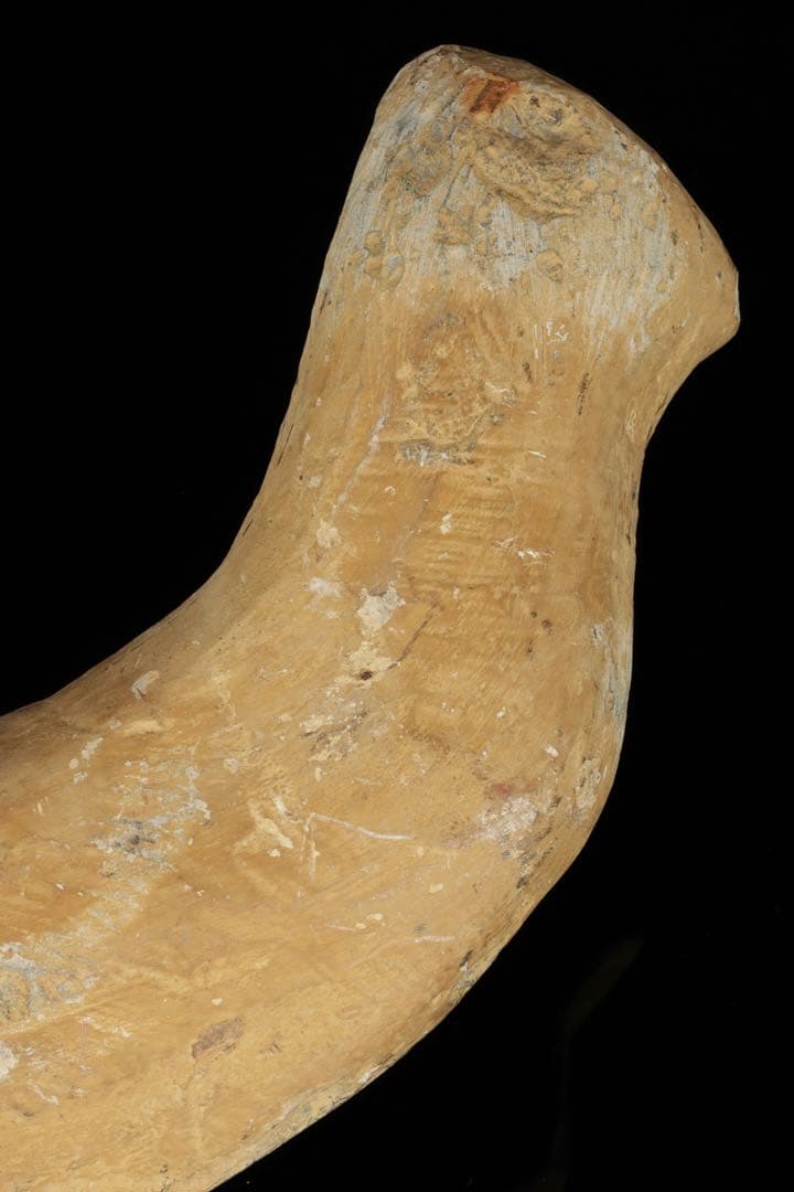 白亜紀前期 サンタナ層産 古代魚化石 魚類化石 クラドキクルス 骨格