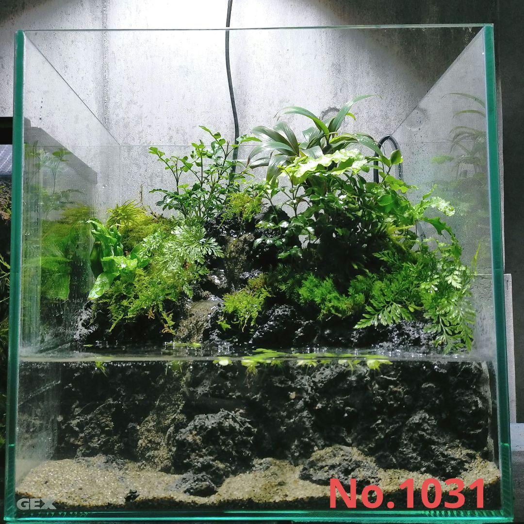 滝の流れるアクアテラリウム イモリウム No.1031 - メルカリ