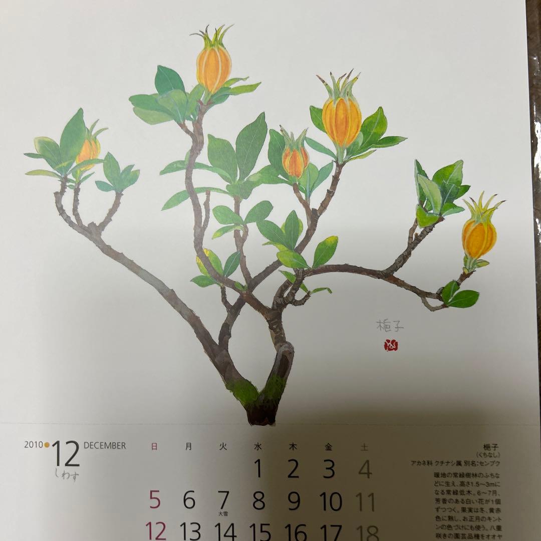 値下げ 水彩画 木製フレーム付き 外山康雄 原画 越の小貝母 名刺