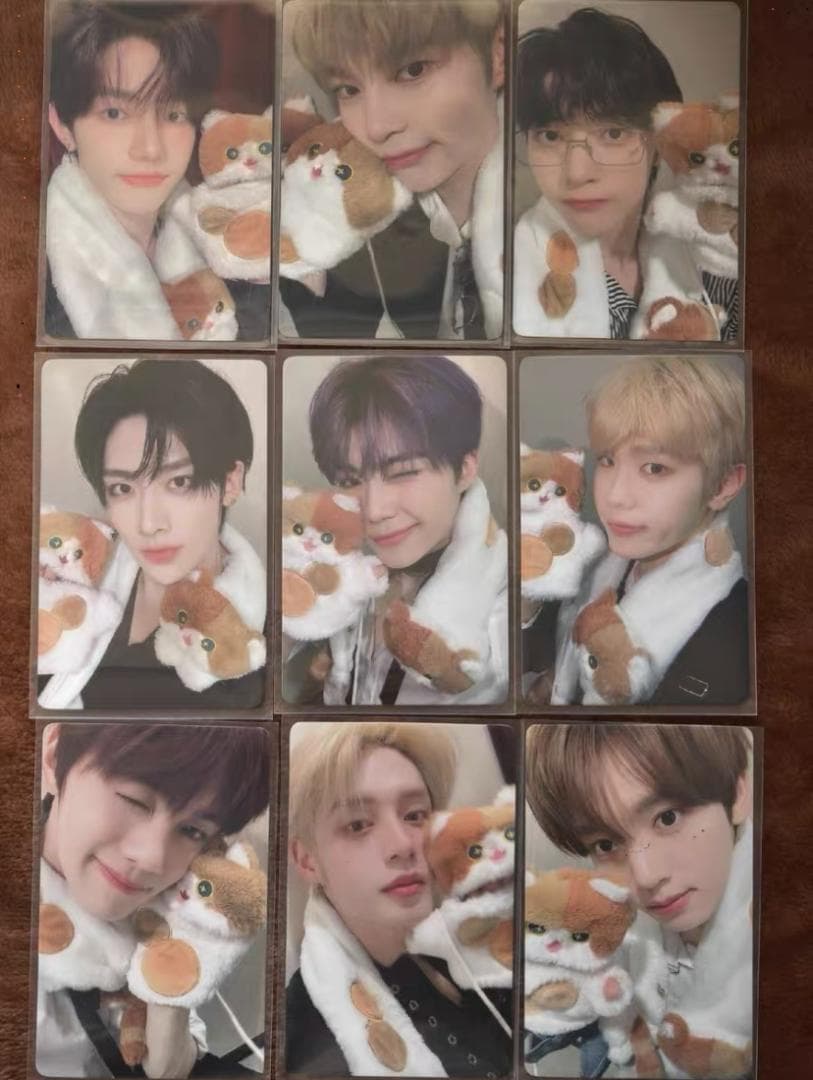 zb1 yizhiyu 一直娱 ねこ特典 トレカ 9枚セット 全員 - メルカリ