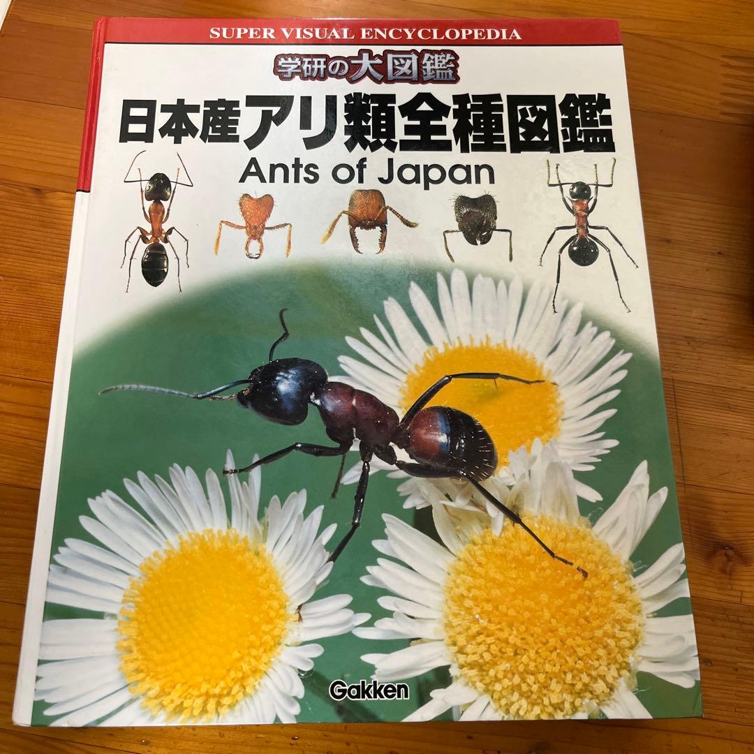 日本産アリ類全種図鑑 学研の大図鑑 Ants of Japan - メルカリ