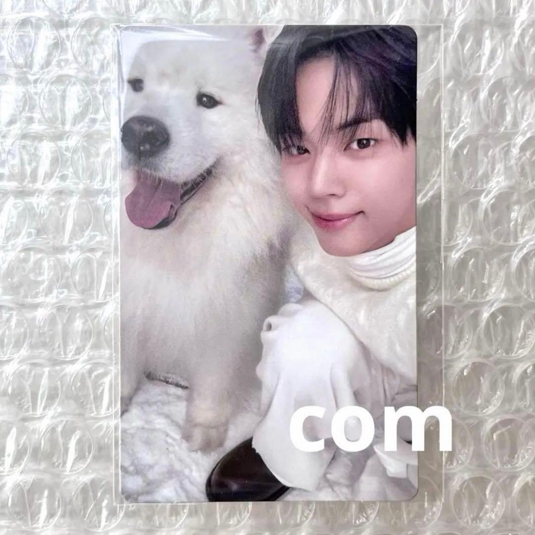 ドフン TWS Last Bell トレカ ラキドロ weverse 新品未開封 - メルカリ