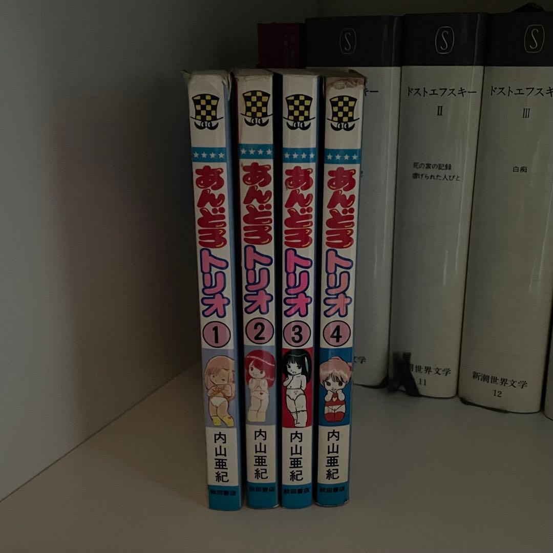 あんどろトリオ 内山亜紀