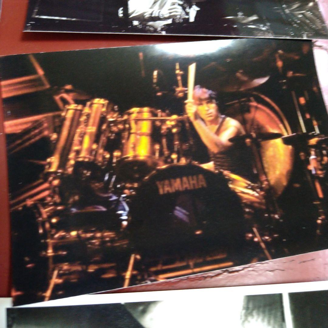 コージー・パウエル 生写真 17枚セット COZY POWELL レインボー - メルカリ