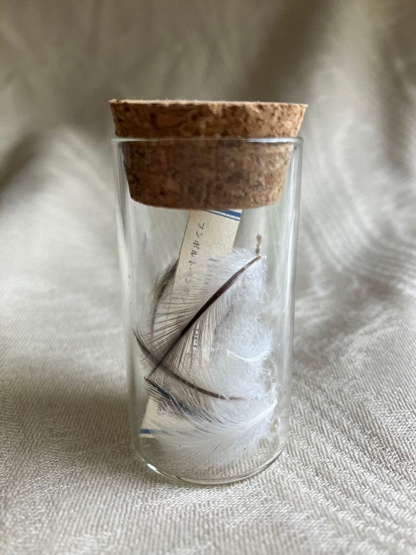 メゾンドペルル 小林モー子 ペンギン ローソクピアス 希少 - メルカリ