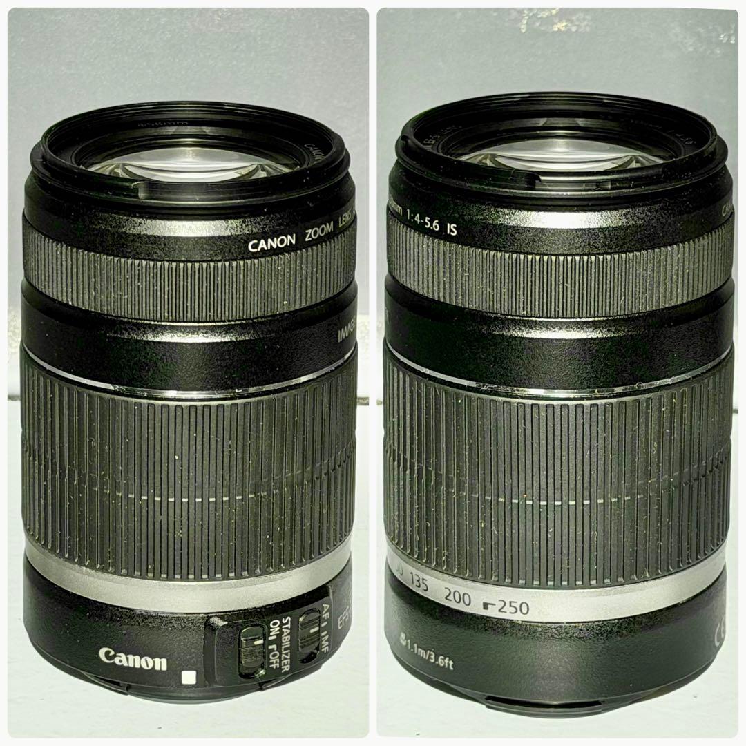 レンズ(ズーム) Canon EF-S 55-250mm f:4-5.6 IS