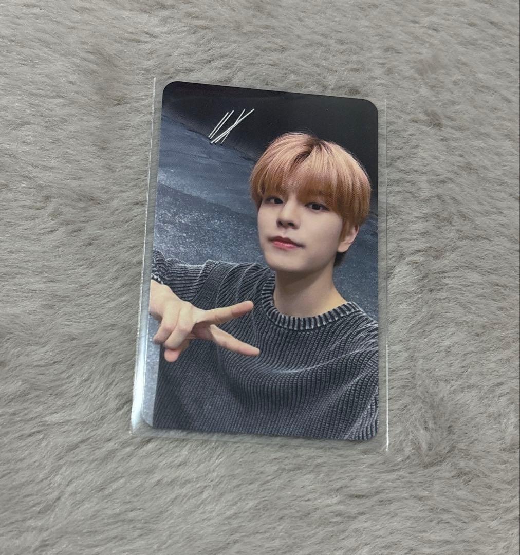 straykids スキズ 5starドームツアー 名古屋 会場限定トレカ - メルカリ