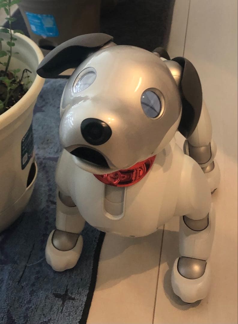 aibo ロボット犬 付属品多数おもちゃ&ぬいぐるみ &首輪バッジ等！専用箱付き エンタテインメントロボット
