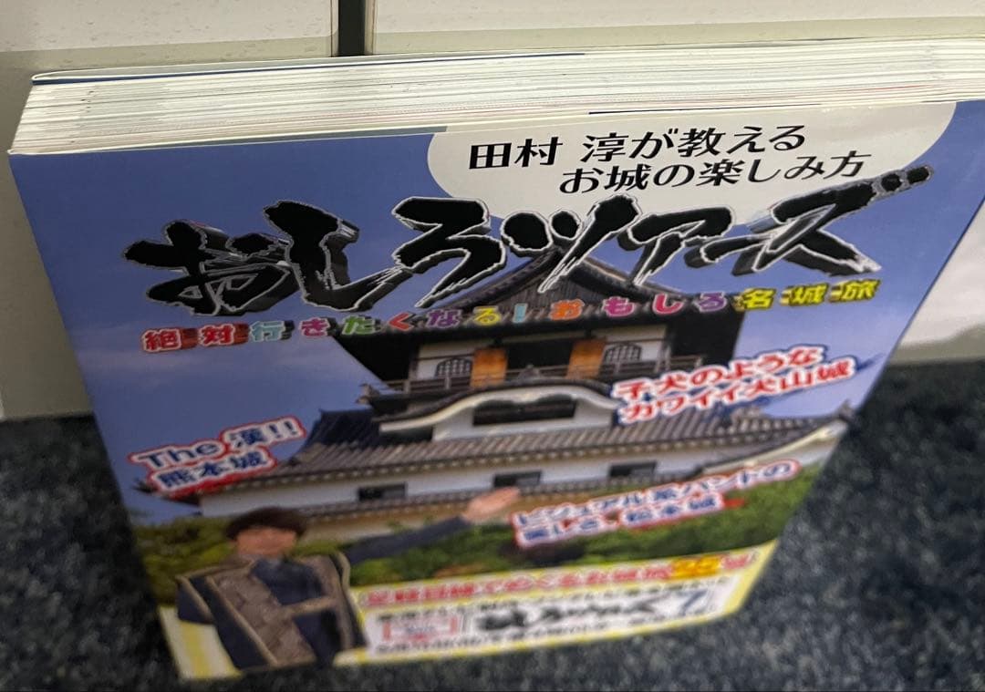 非売品あり、一部書き込みあり】お城本11冊 - メルカリ