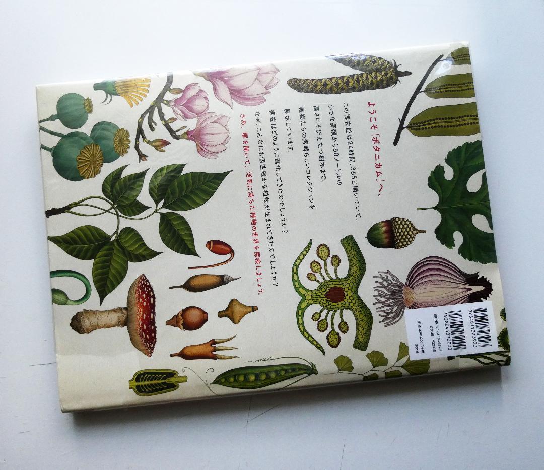 中古】ボタニカム ようこそ、植物の博物館へ キャシー・ウィリス 多田