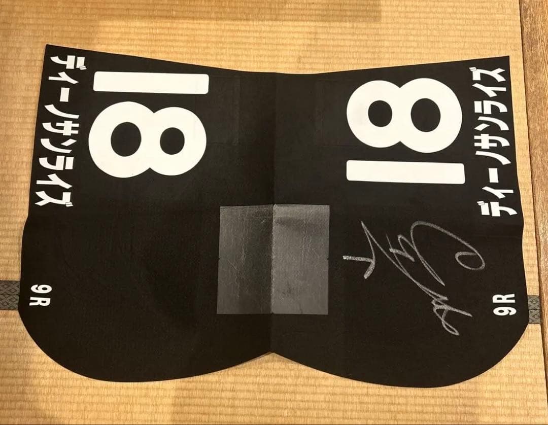 競馬 ゼッケン ディーノサンライズ 小崎綾也サイン入り - メルカリ