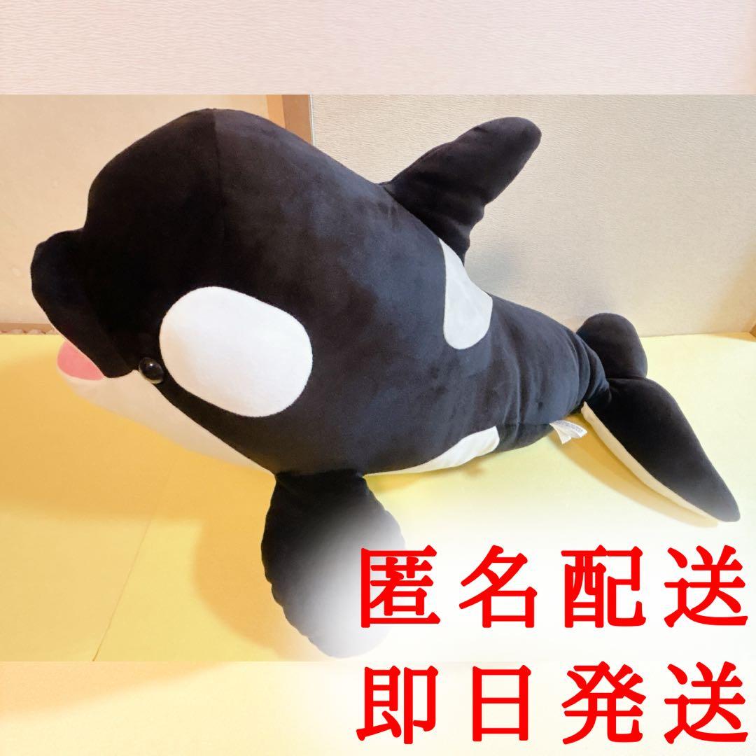 須磨シーワールド オルカくじ 1等 シャチくじ シャチ 70cm 特大サイズ