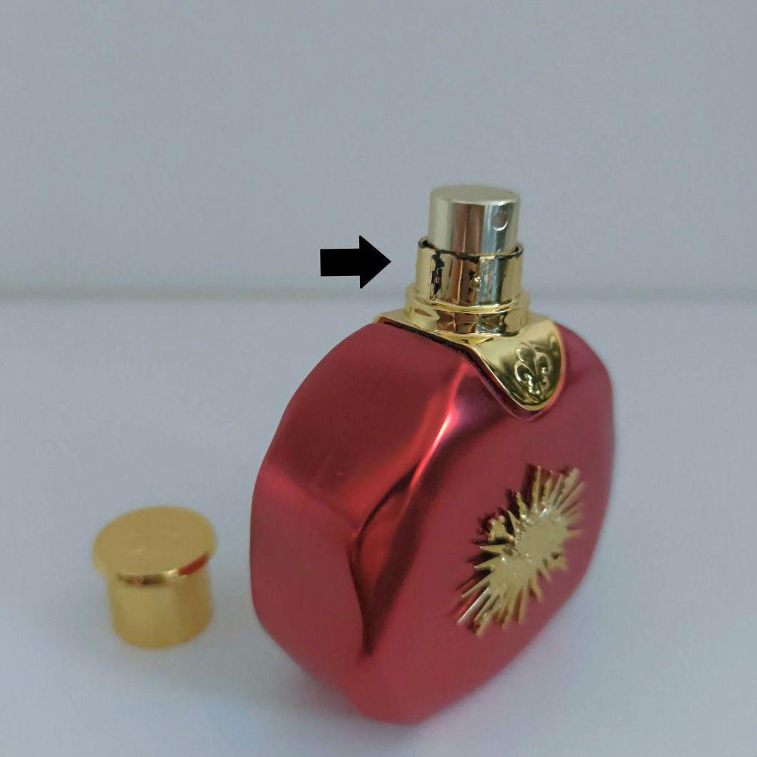 ヴェルサイユ パッション プールエル オードパルファン 50ml - メルカリ