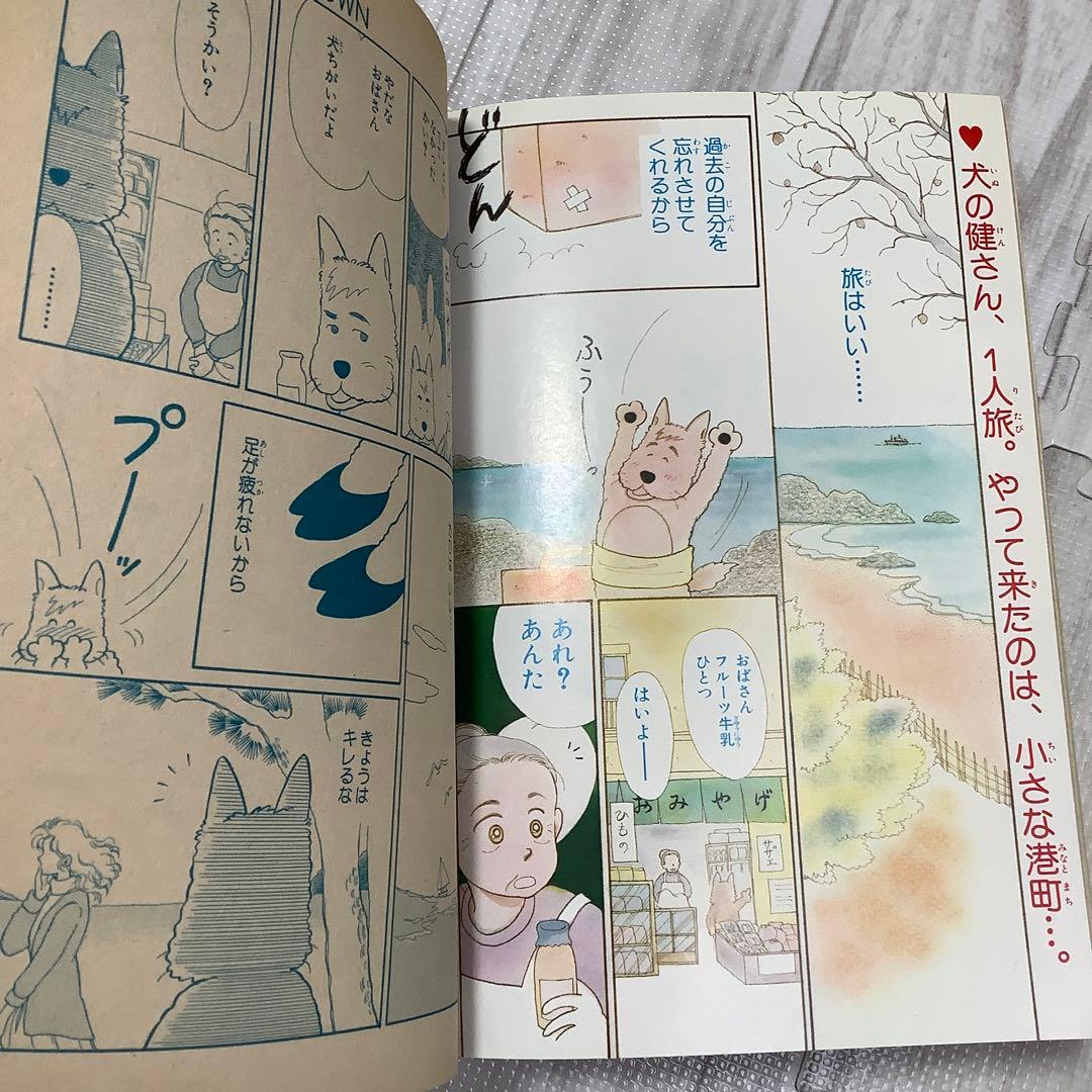 りぼん りぼんびっくり 増刊号 付録 無 吉住渉 小花美穂 水沢めぐみ