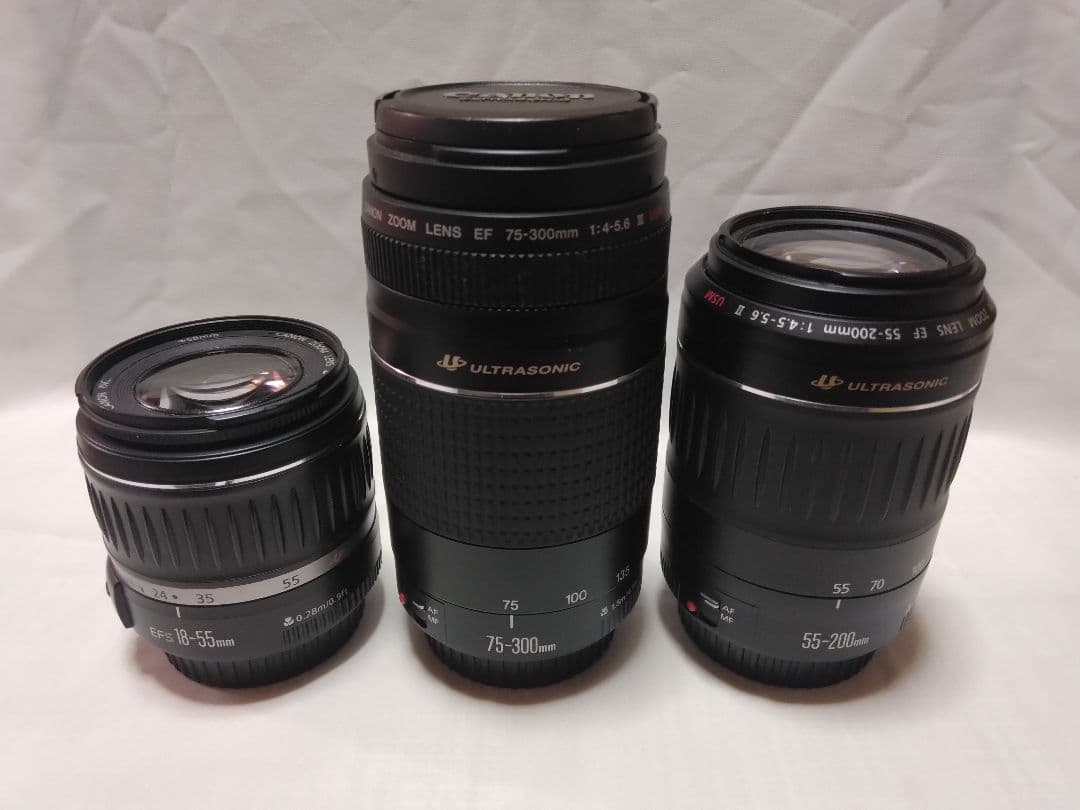Canon 望遠レンズ 3点 ジャンク品 2026年最新】Yahoo!オークション -望遠レンズジャンクの中古品・新品