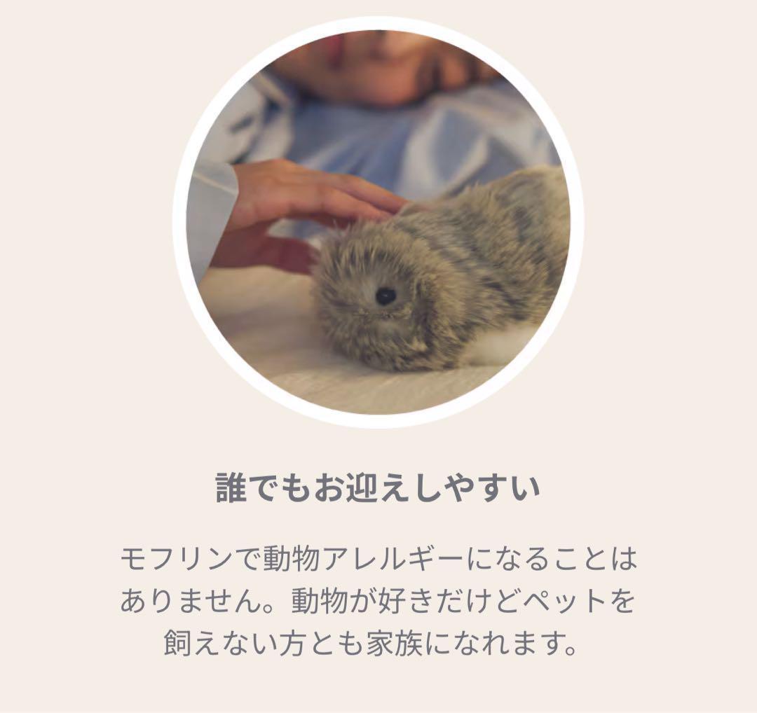 新品未使用】moflin モフリン シルバー AIロボット ペット - メルカリ