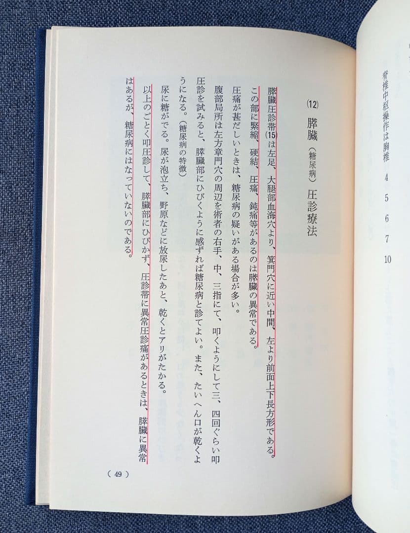 高野流圧診療法秘伝書　高野豊行　非売品