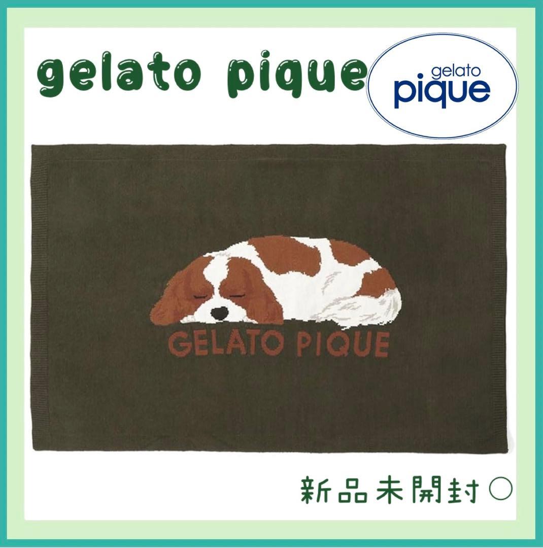 ジェラートピケ SLEEPING DOG ジャガードブランケット キャバリア柄②