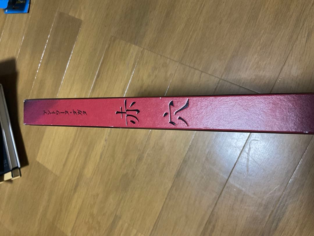 アントワーヌ・ダガタ　写真集　「赤穴」