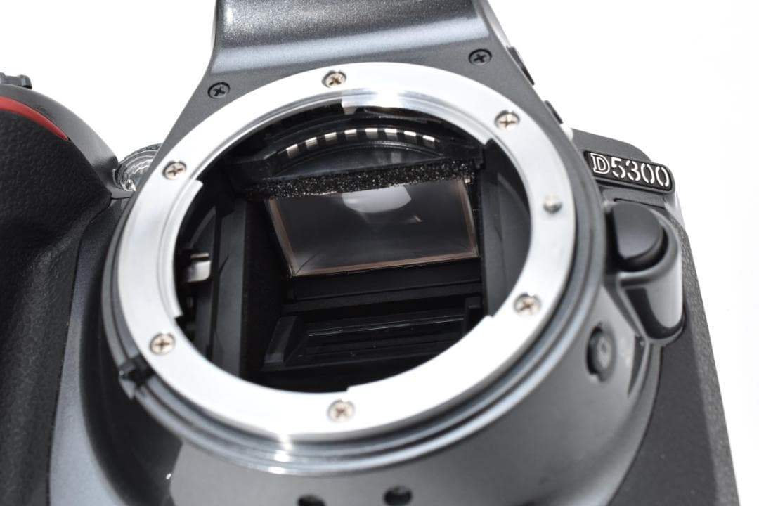 美品❤️ ショット数994回 ✨Nikon D5300 希少✨Wi-Fi搭載 - メルカリ