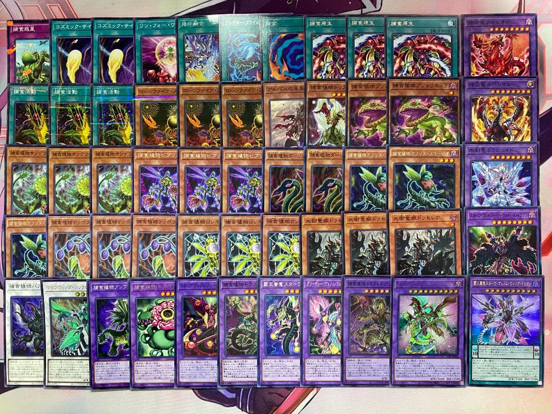 002 遊戯王 烙印捕食植物 プレデタープランツ 本格構築済みデッキ