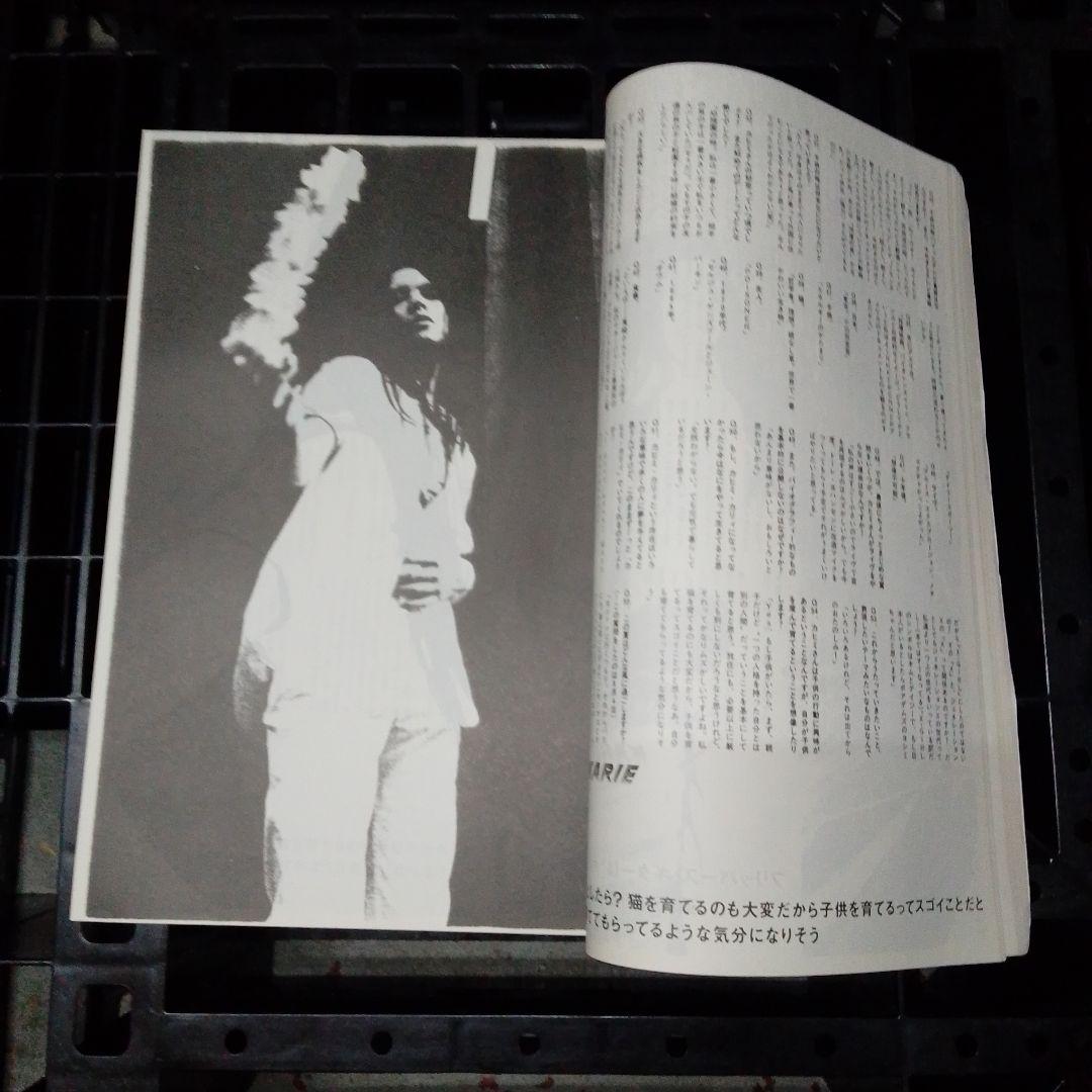 カヒミ・カリィ「プロモーション・ブック」「LE ROI SOLEIL」（太陽王