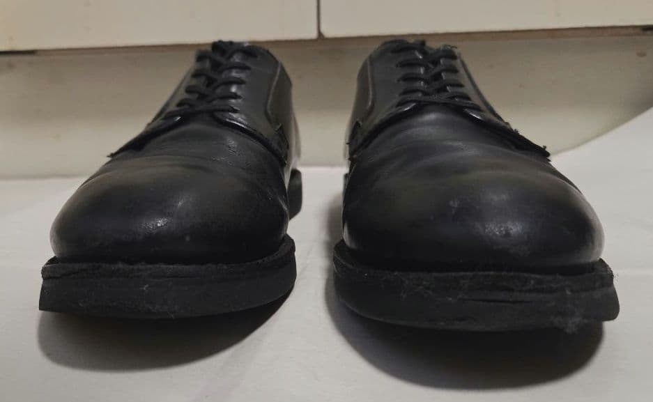 RED WING 【レッドウィング】ポストマン 101 US8.5 26.5cm