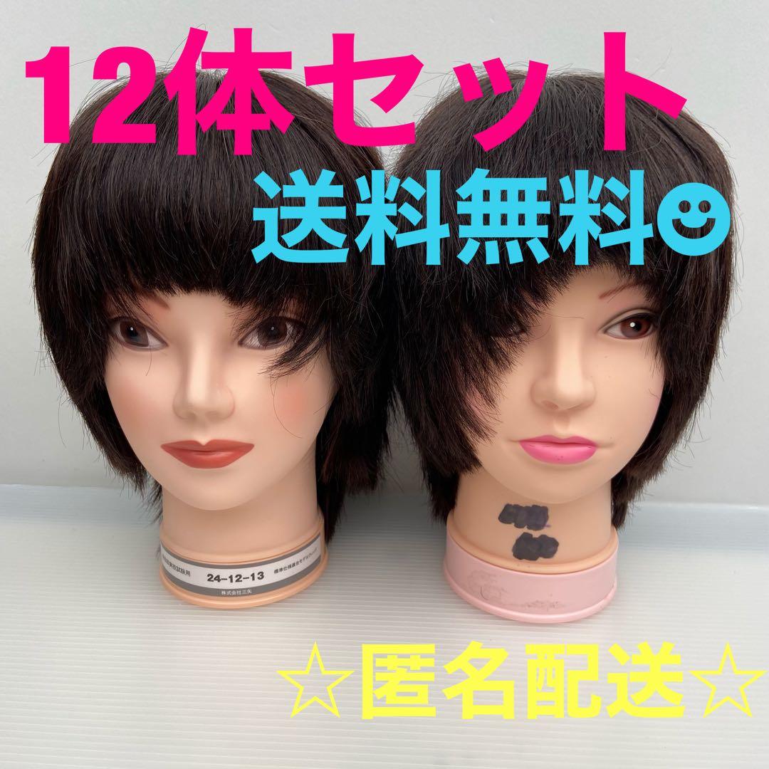 カットウィッグ カットマネキン 美容師 国家試験 練習 - メルカリ