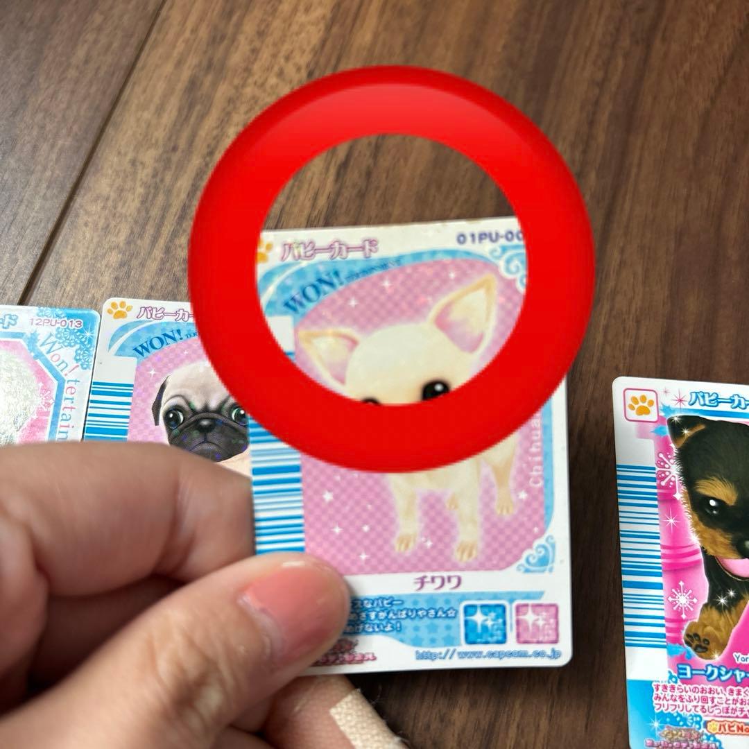 ワンタメ パピーカード - メルカリ