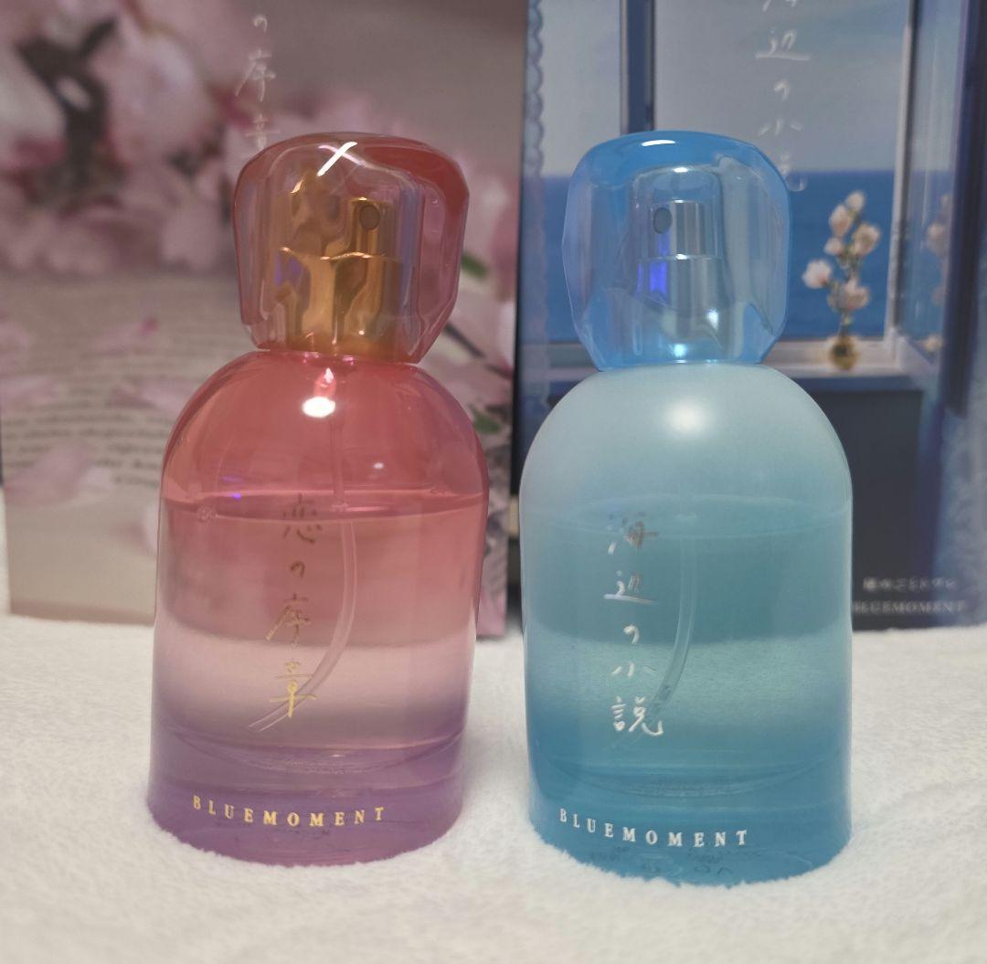 Libroraria リブロアリアBLUEMOMENT 海辺の小説 恋の序章 恋の序章 リトル – Libroaria