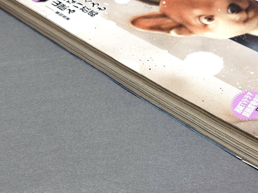 ビッグコミックオリジナル2019年2月20日4号『忘れ形見』読切/伊藤潤二