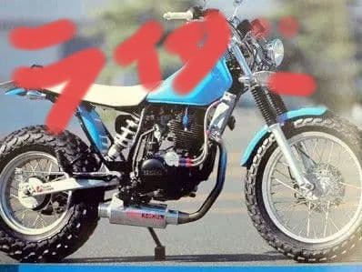 K*z様 TW200 225 甲子園マフラー キムタク ビューティフルライフ