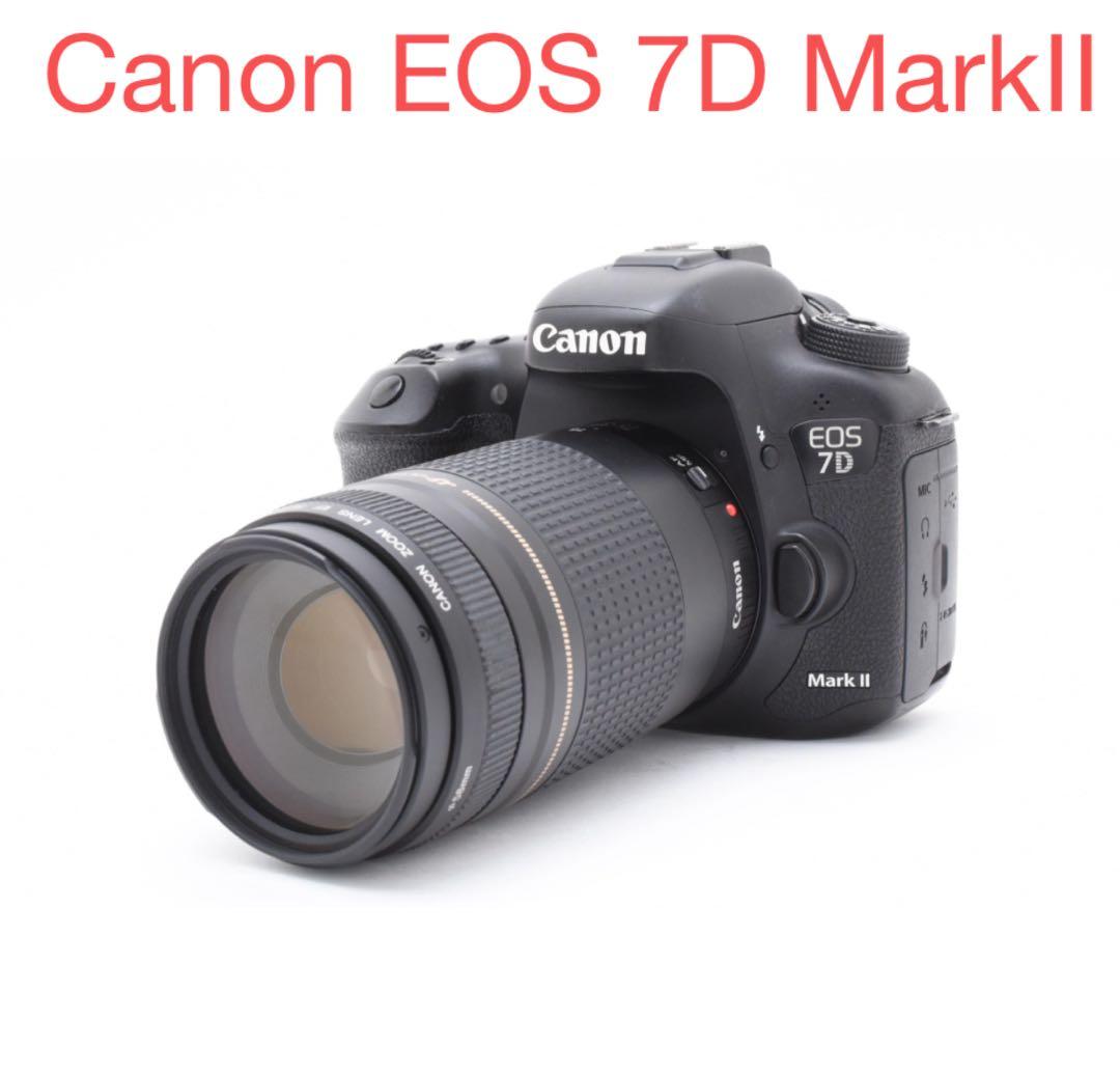 デジタル一眼レフカメラ Canon EOS 7D MarkⅡ 望遠レンズセット レンタル] キャノン Canon EOS 7D Mark II 望遠レンズセット｜一眼レフ