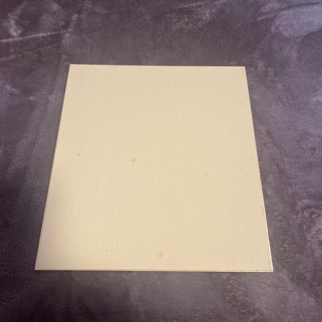 松坂大輔 直筆 サイン色紙 西武ライオンズ 背番号18 2004年春季