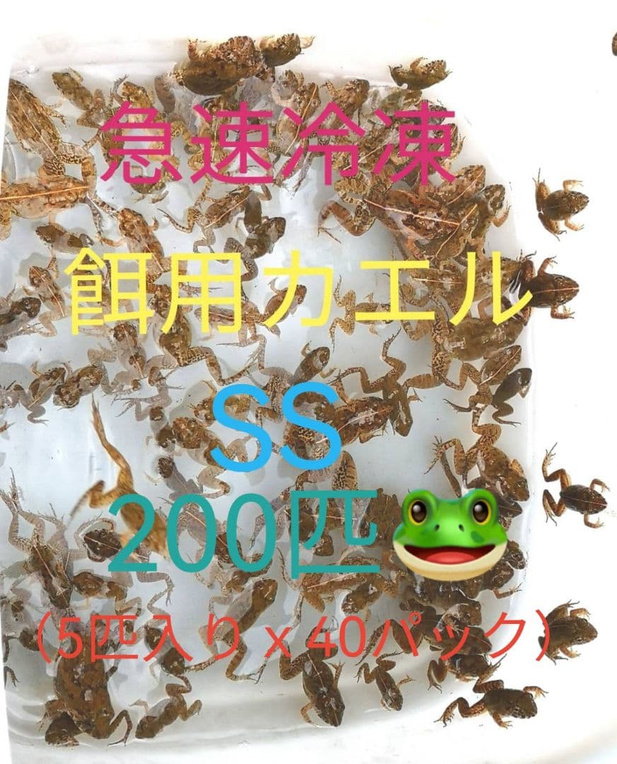 二百匹【冷凍】SS 餌用カエル ヌマガエル エサ用 爬虫類 蛇の餌 ヘビ トカゲ 60匹【冷凍】SS 餌用カエル ヌマガエル エサ用 爬虫類 蛇の餌 ヘビ