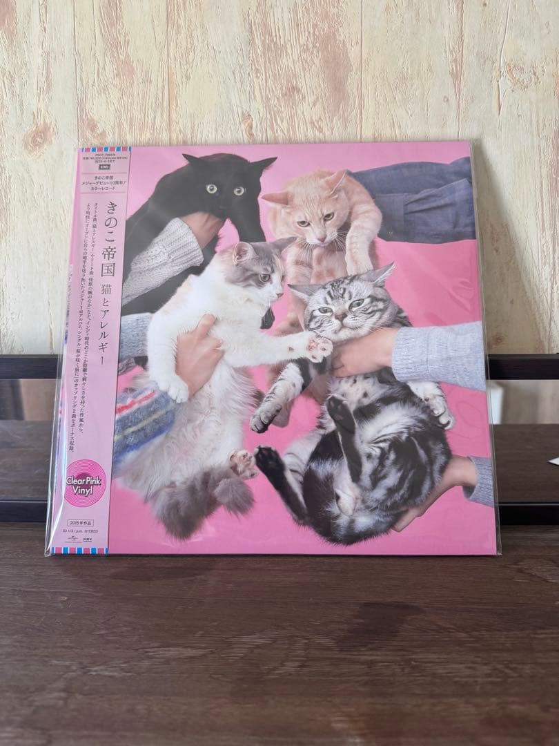 きのこ帝国 猫とアレルギー レコード - メルカリ