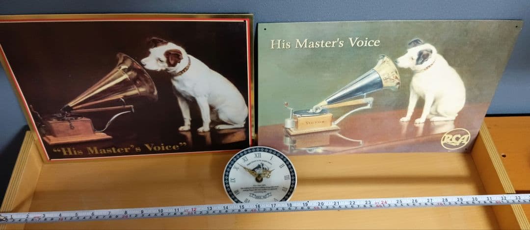 ビクター ニッパー犬 ニッパー 特大44cm～ 7匹 手渡し希望 千葉県