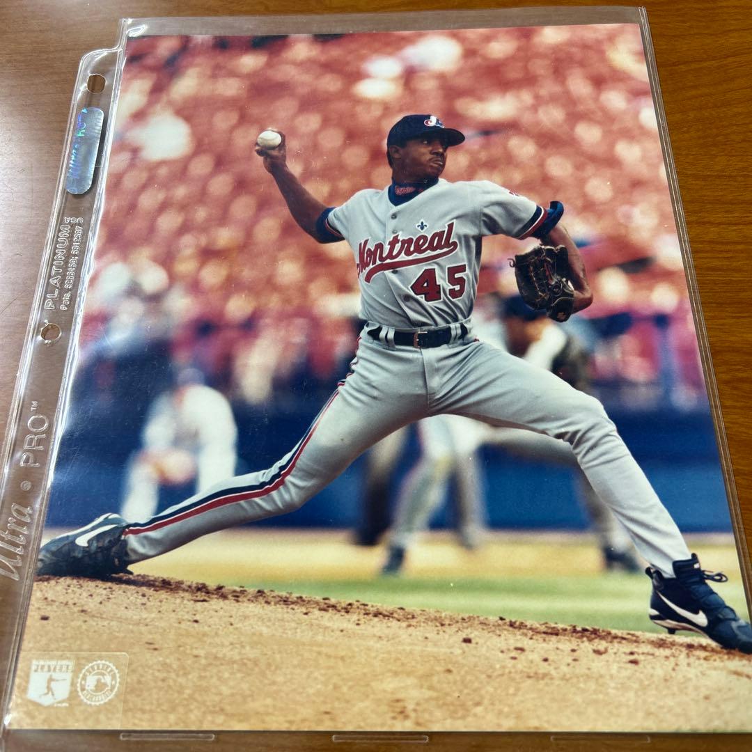 MLB モントリオールエキスポス ペドロ・マルチネス 8x10 フォト