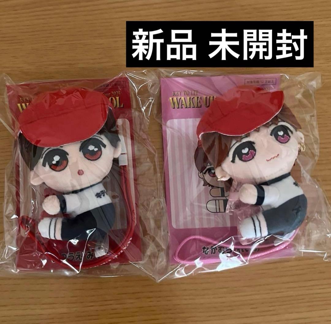 くっつキテレツ 井上瑞稀 中村嶺亜 KEY TO LIT キテレツ グッズ ぬい KEY TO LIT 中村嶺亜 くっつキテレツ - メルカリ